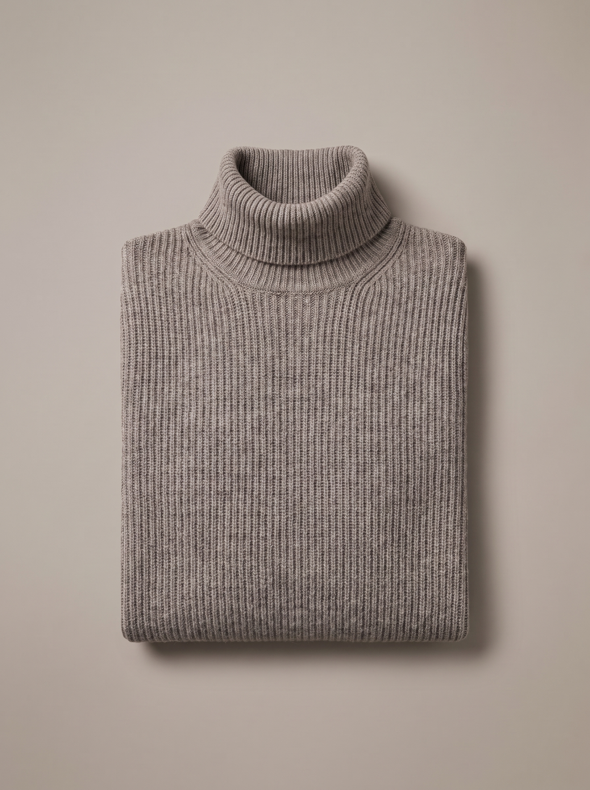 Nash Ribbed Turtleneck